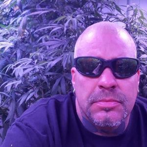 Meet your Posher, Shane